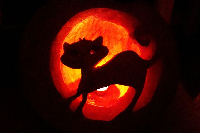 Halloween cat from Poland. User Silar.