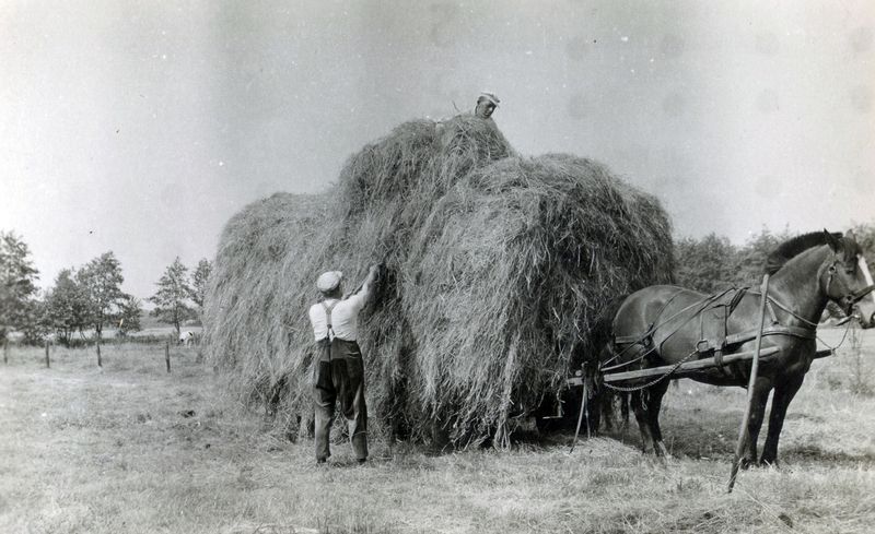 Life in Vragender in 1949